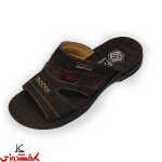 دمپایی مردانه شایان پاسارگاد