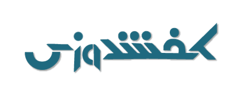 لوگو کفشدوزی